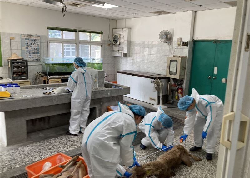 台灣新聞通訊社-快訊／「空拍機投毒」動物集體暴斃！遭影射農場2聲明：將依法主張權利