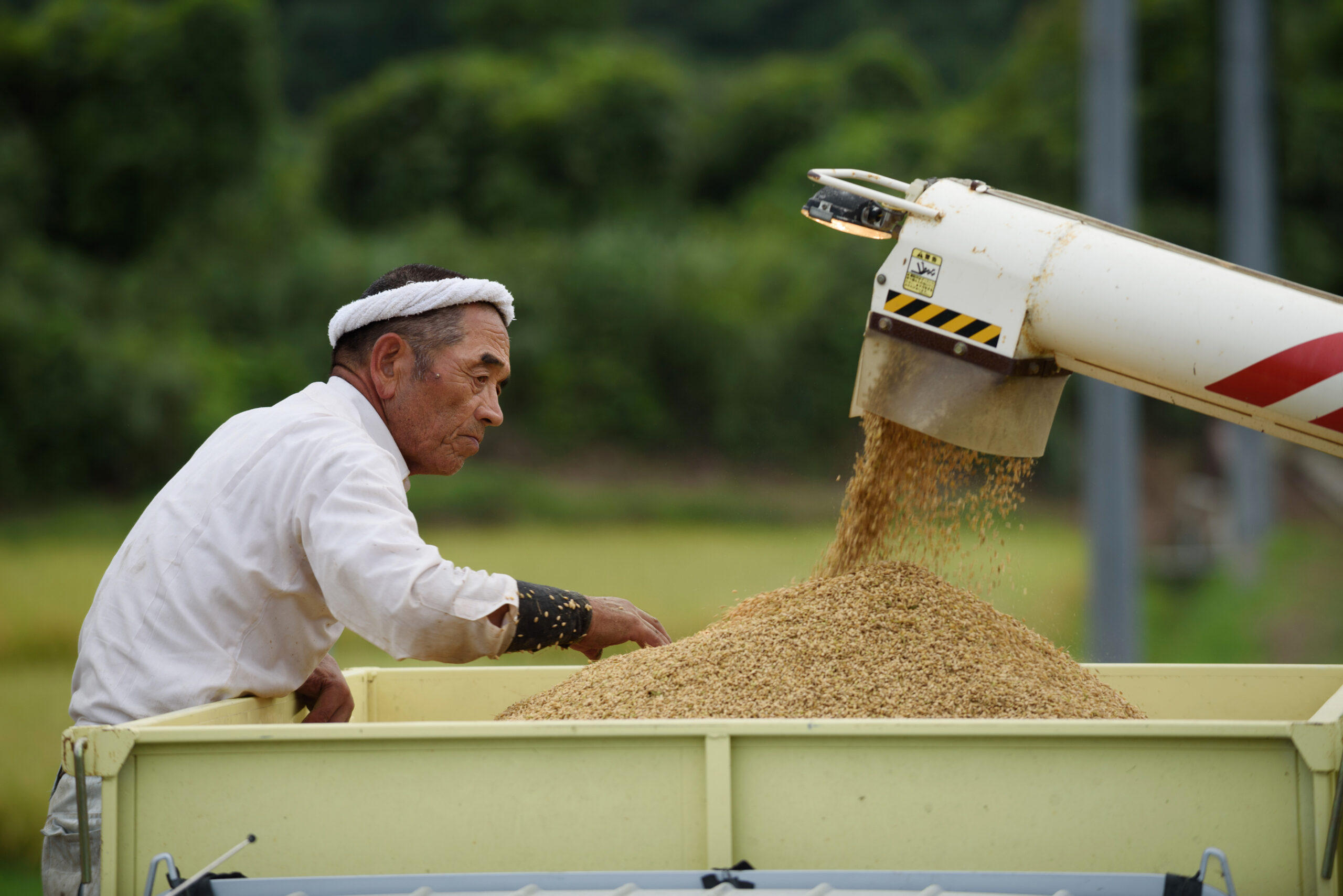 台灣新聞通訊社-【專家之眼】守住美國農產品銷台防線 他山之石可以攻錯