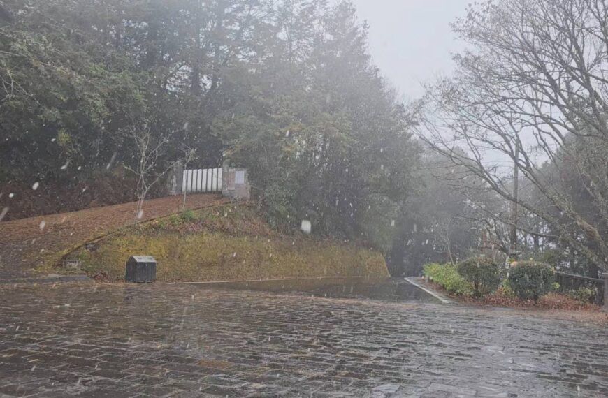 台灣新聞通訊社-「由於車長滑倒列車會晚分」 台鐵區間車這廣播很特別晚29分發車