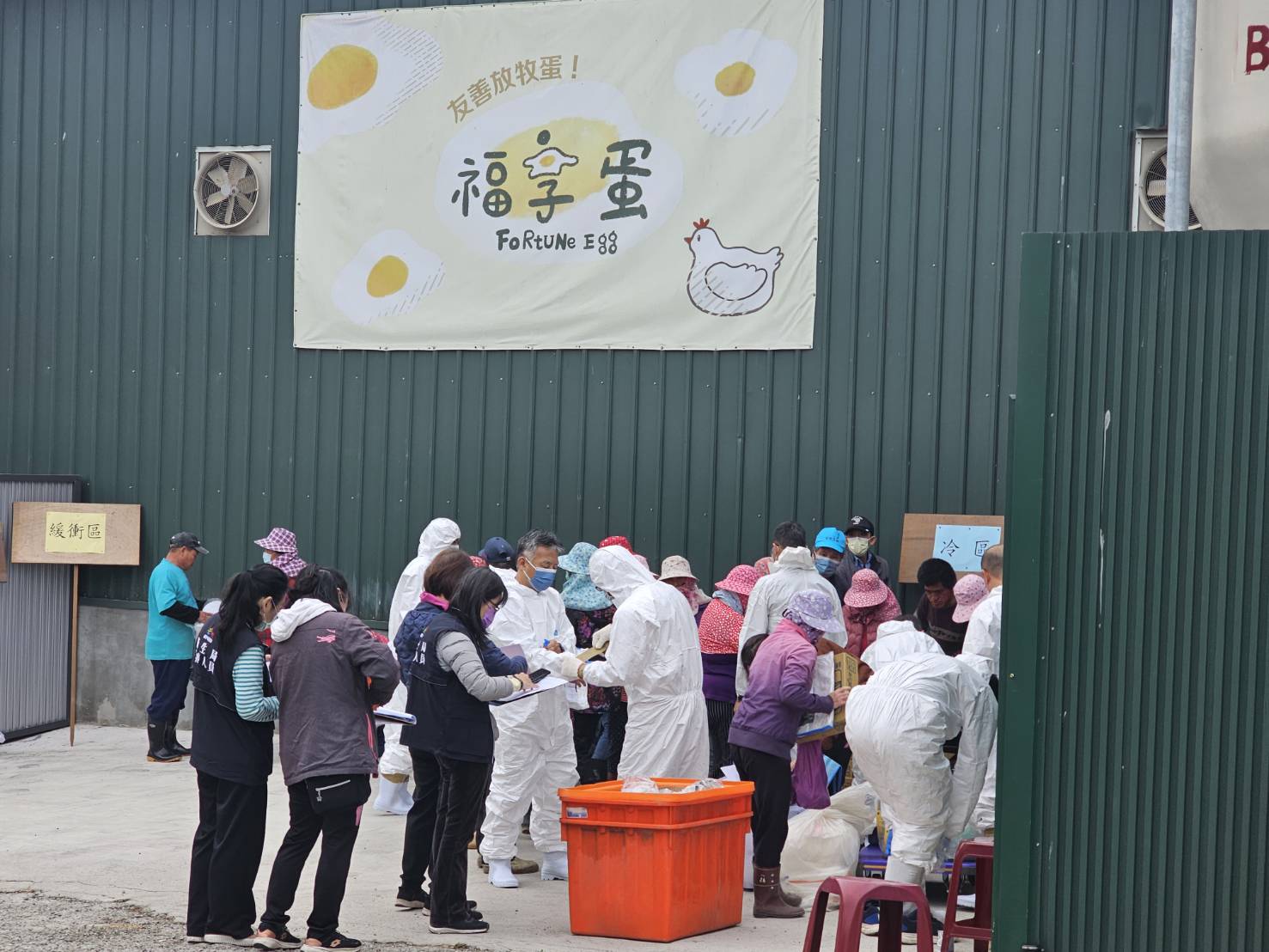 台灣新聞通訊社-蛋雞場私自埋雞屍未通報 資深獸醫師研判原因