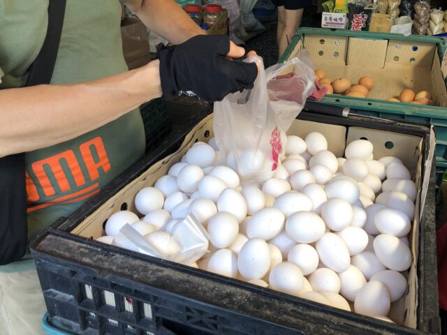 台灣新聞通訊社-連日低溫蛋雞產蛋變少 明起蛋價漲3元