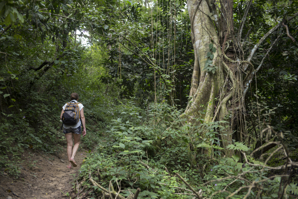 台灣新聞通訊社-陸籍女子陳屍日本山林…肋骨骨折、皮膚脫落 警研判疑遭謀殺