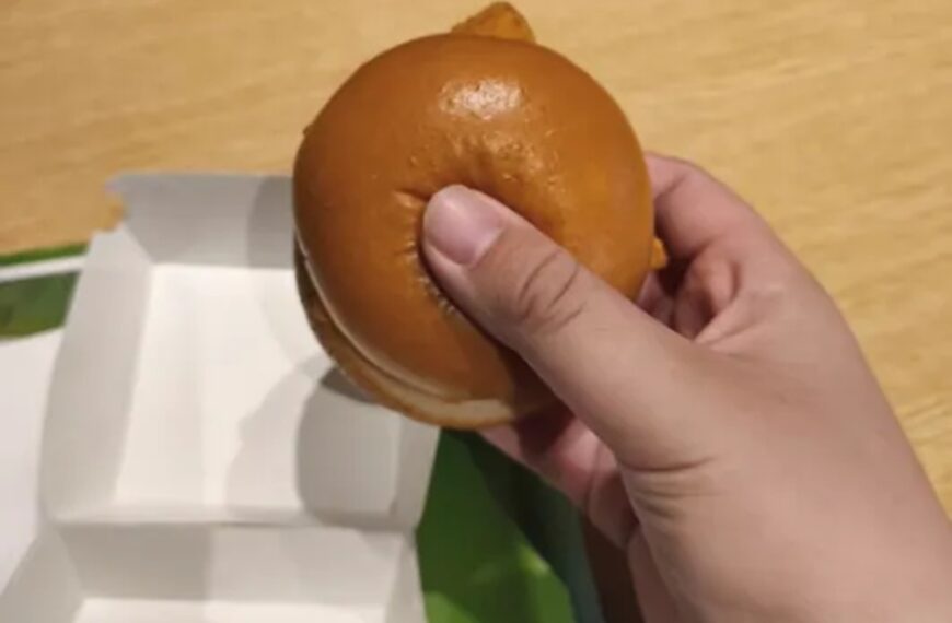 台灣新聞通訊社-陸網友批「漢堡縮水到像馬卡龍」 大陸麥當勞官方回應了