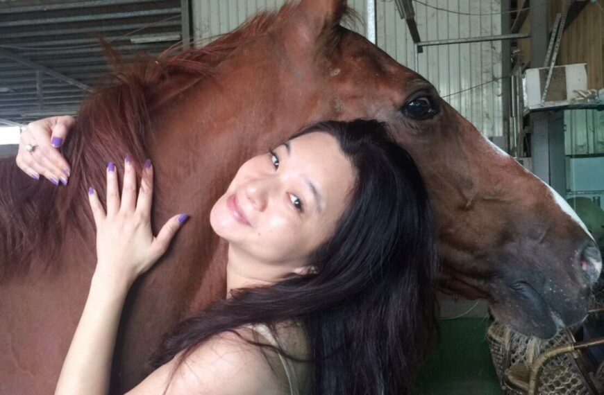 台灣新聞通訊社-花500萬買愛馬「王子」？友人闢謠 應曉薇：被霸凌已是日常