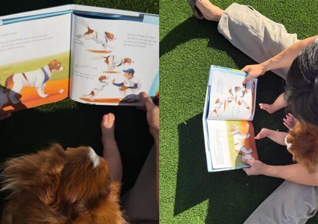 台灣新聞通訊社-大谷翔平分享愛犬新書！愛女入鏡萌翻粉絲　共讀畫面超溫馨