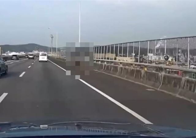 台灣新聞通訊社-國道1號五楊高架驚悚意外！男突情緒失控跳車　翻越圍籬高處墜落身亡
