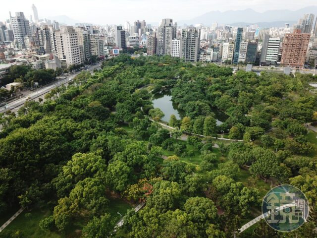 台灣新聞通訊社-台北爆漢他病毒！網憂大安森林公園松鼠恐感染　醫師回應了