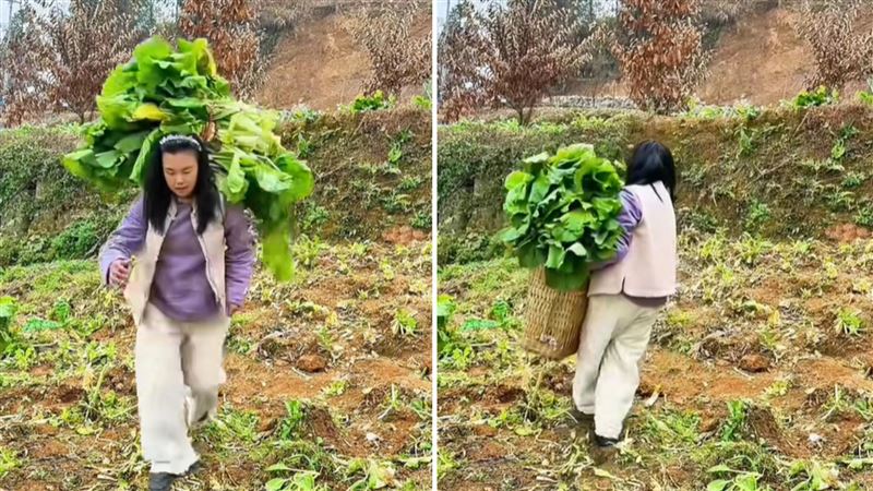 台灣新聞通訊社-遣返中國已近10個月！中配小微「割菜餵豬」嘆：被傷得體無完膚