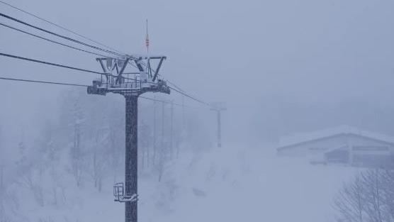 台灣新聞通訊社-22歲澳女遭纜車拖行！命喪日本滑雪場　「致命關鍵」原因曝光