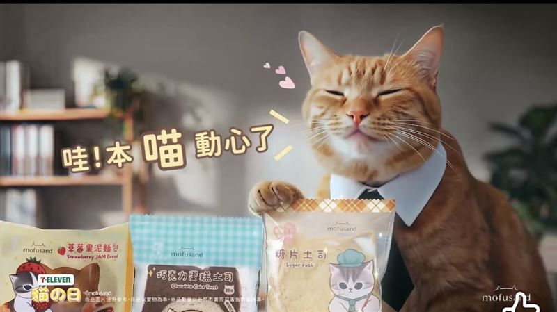 台灣新聞通訊社-決戰貓咪日　你必知的超商大戰流量密碼