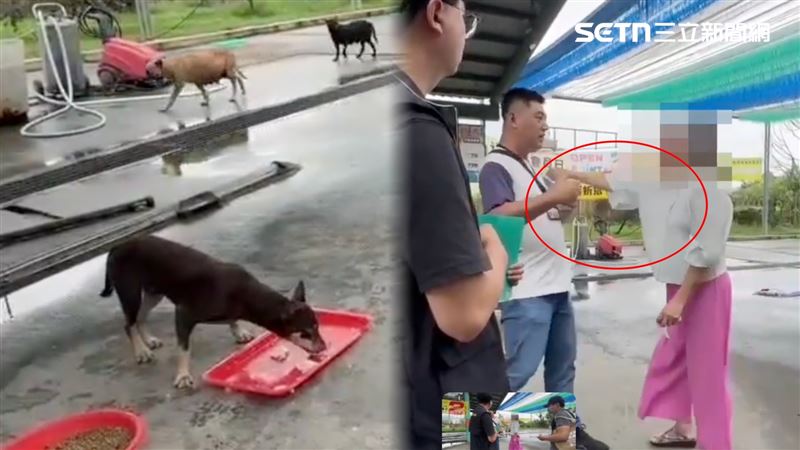 台灣新聞通訊社-死推人畫面曝！愛媽嗆「觀音指示不餵狗…背因果」踢鐵板　判決出爐