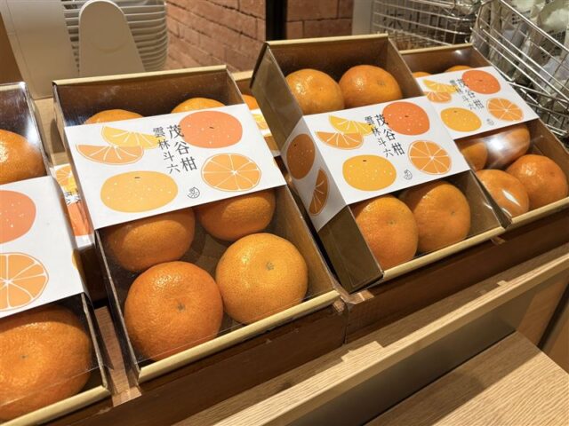 台灣新聞通訊社-走春伴手禮選這款！農糧署推「水果清單」　吉祥寓意一次看