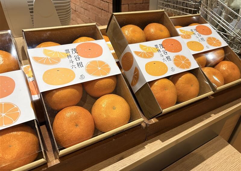 台灣新聞通訊社-走春伴手禮選這款！農糧署推「水果清單」　吉祥寓意一次看