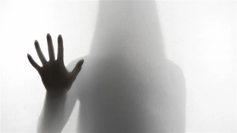 台灣新聞通訊社-仿A片情節少女臀部刻字「母豬、情趣用品」阿兵哥速拿100萬換免關