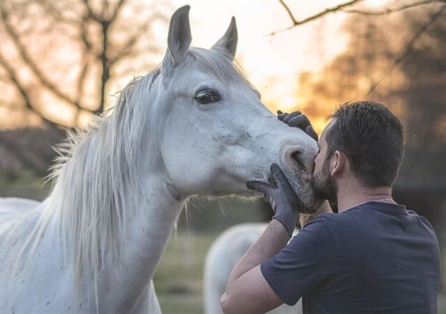 台灣新聞通訊社-散發令人「害怕的味道」？研究揭：馬聞得到人類的恐懼