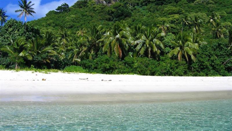 台灣新聞通訊社-蜜月天堂淪愛滋溫床？注射吸毒者血液獲快感　斐濟HIV病例飆升