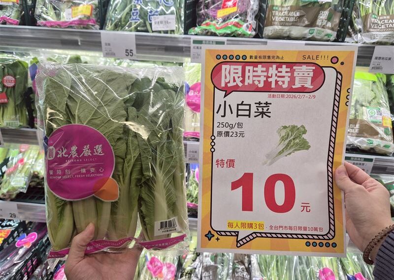 台灣新聞通訊社-全聯「小白菜只要10元」快搶！　家樂福、愛買週末結帳9折