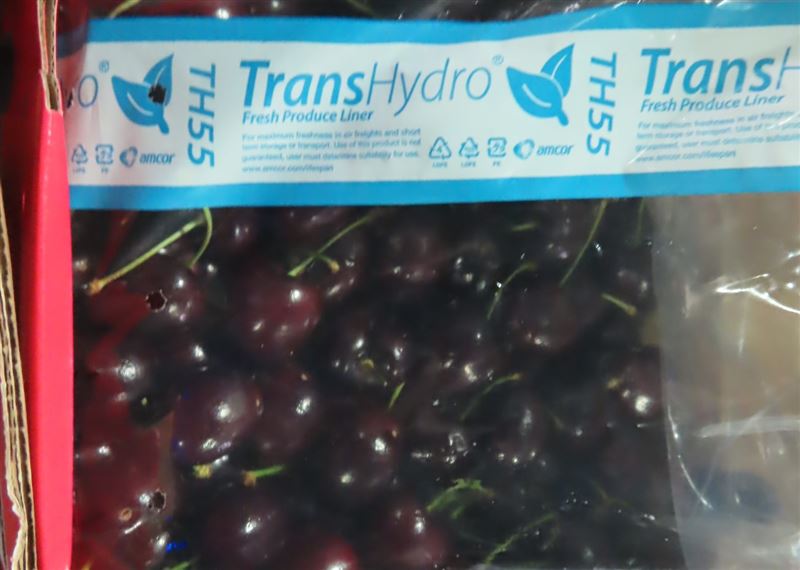 台灣新聞通訊社-依賴中國太慘！智利櫻桃在中價格狂殺近7成 果農不忍了轉向「這國」