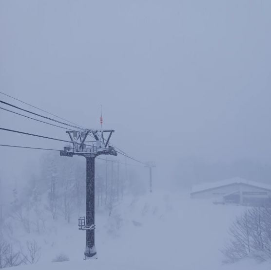 台灣新聞通訊社-日本滑雪場出人命！22歲女遭纜車拖行「吊在空中吹寒風」慘死
