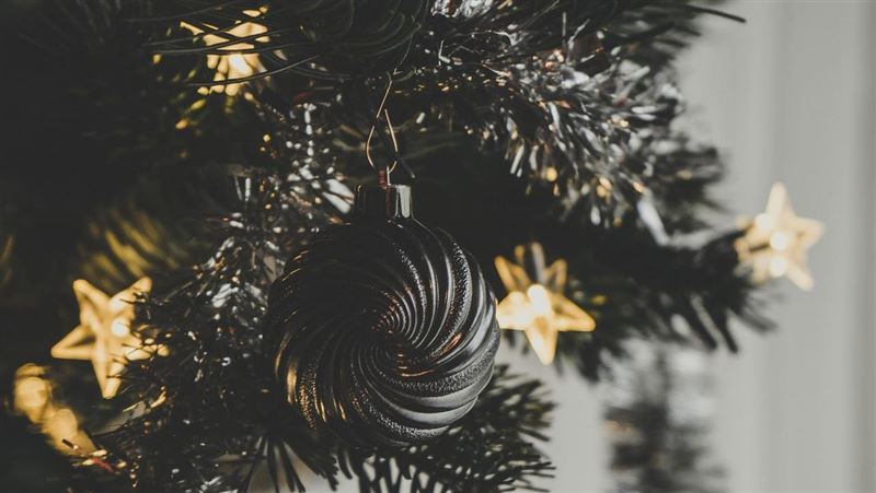 台灣新聞通訊社-正宮求償200萬！浪女多次激戰男鄰居　耶誕節還登門租借人夫