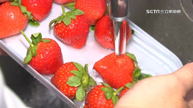 台灣新聞通訊社-她洗草莓加1物！農會急喊「千萬不要」　正確做法曝光