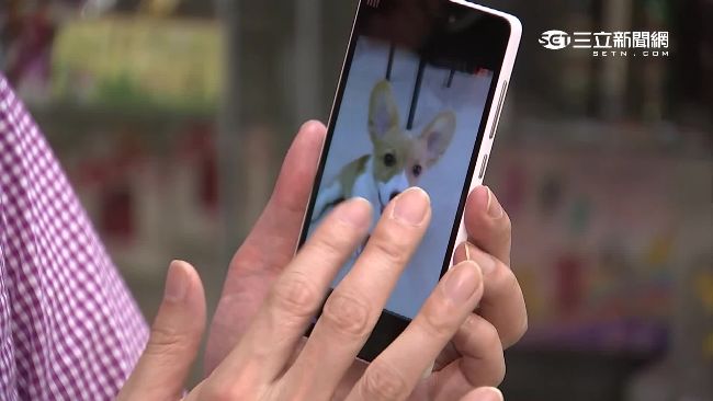 台灣新聞通訊社-誆「無卡分期」買手機抽佣！害101名大學生背債…籃球教練重判7年4月