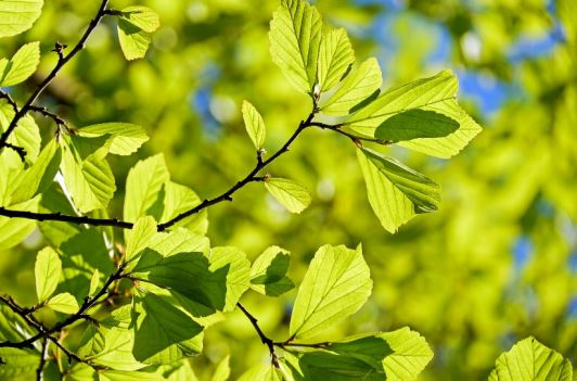 台灣新聞通訊社-立春禁忌快看！「4生肖」注意健康　命理師籲23:00前要睡