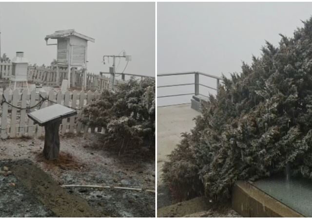 台灣新聞通訊社-新／玉山下雪了！片片雪花降落如畫　氣象署曝「5高山」急凍低於零度