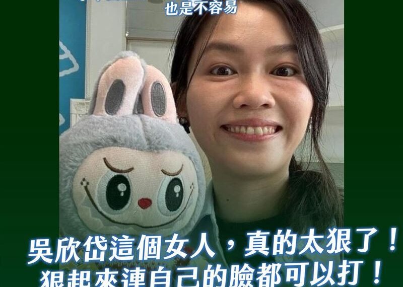 台灣新聞通訊社-遭藍營製圖圍剿　吳欣岱曝盜版Labubu來源：被提醒才知是中國娃娃