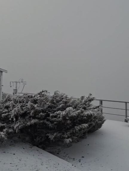 台灣新聞通訊社-玉山下雪了！積雪1公分「銀白美景曝」