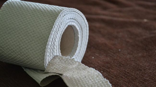 台灣新聞通訊社-厚實吸水不易破！好市多「1款衛生紙」限時特價　眾人狂讚：用過回不去