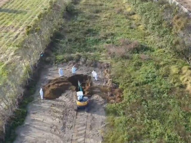 台灣新聞通訊社-快訊／押了！台中雞場爆禽流感「死雞載去苗栗丟」　無良老闆收押禁見