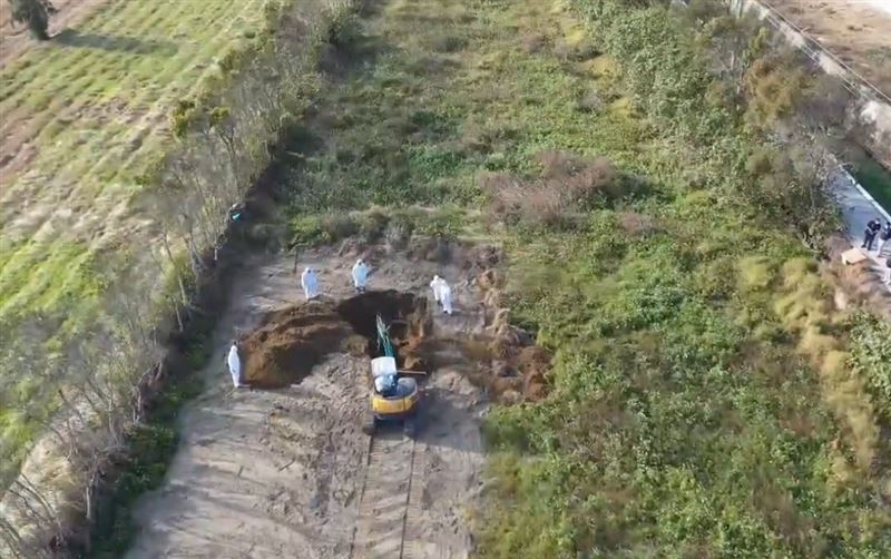 台灣新聞通訊社-快訊／押了！台中雞場爆禽流感「死雞載去苗栗丟」　無良老闆收押禁見