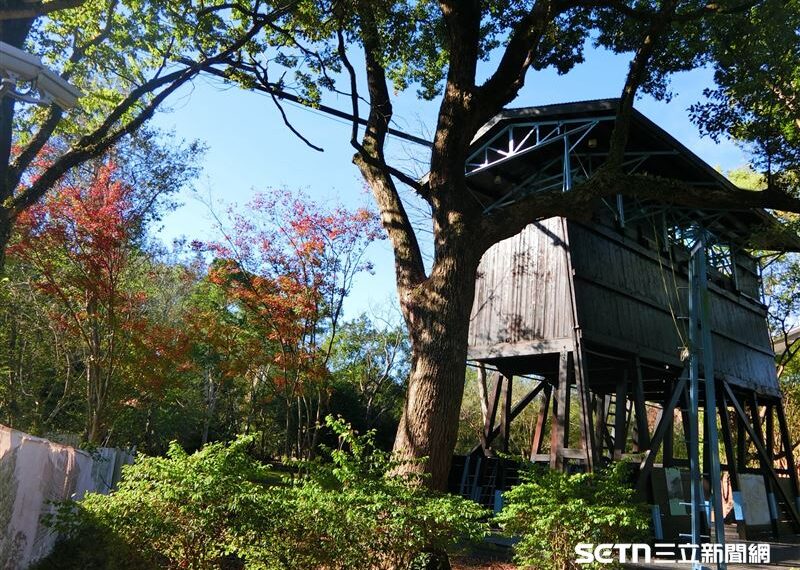 台灣新聞通訊社-昔日東亞最大製材廠在台中！它華麗變身東勢林業園區　絕美遊園攻略曝