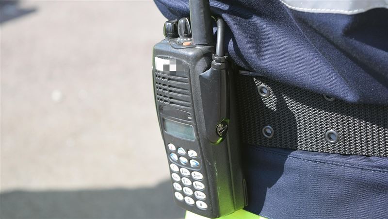 台灣新聞通訊社-享受肉體摩擦滑軌？保全公司主管全裸上公園溜滑梯！路人見這一幕超衝擊