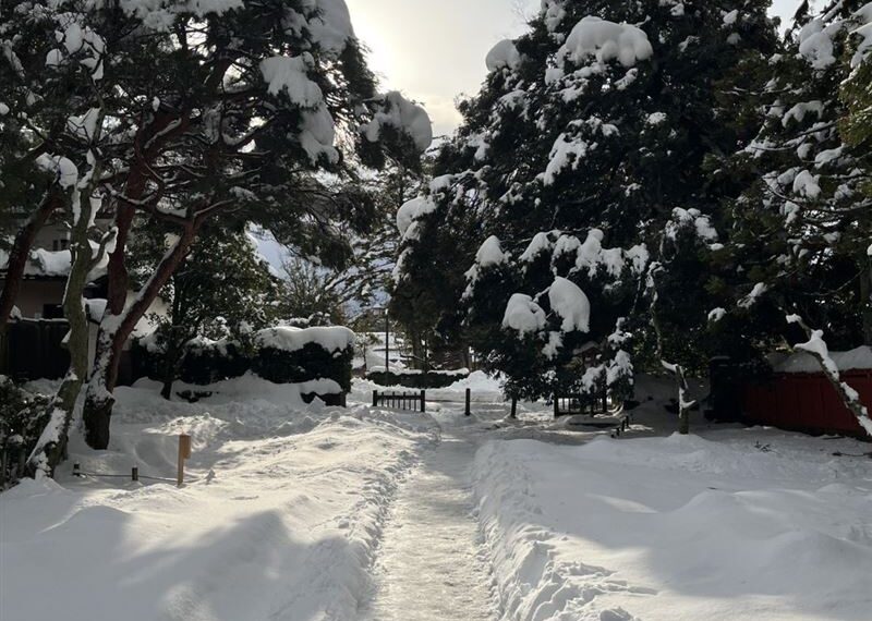 台灣新聞通訊社-日本大雪亂象　爆「大規模停車不付錢」業者無奈立這牌子喊話