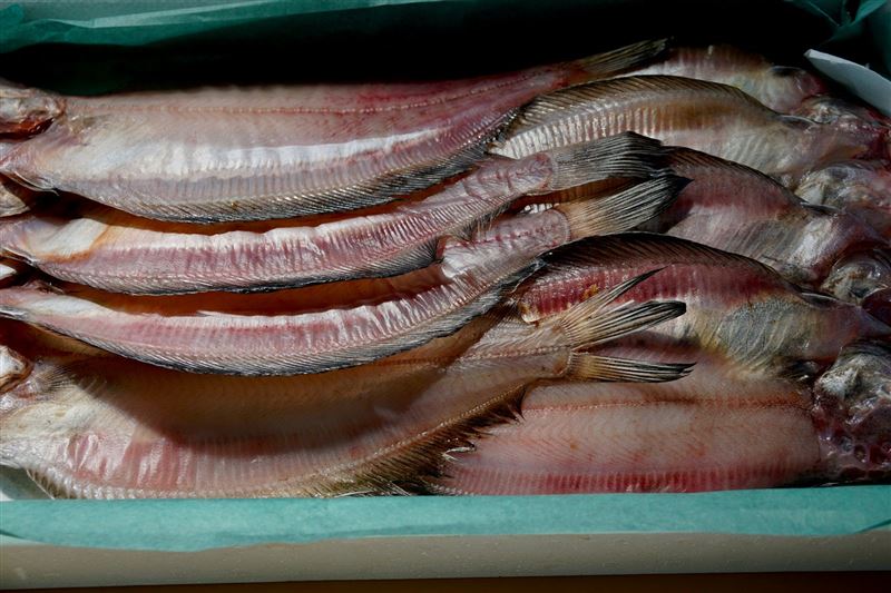 台灣新聞通訊社-中國抵制沒效！日本食品出口飆破1.7兆日圓　2產品還大賣破紀錄