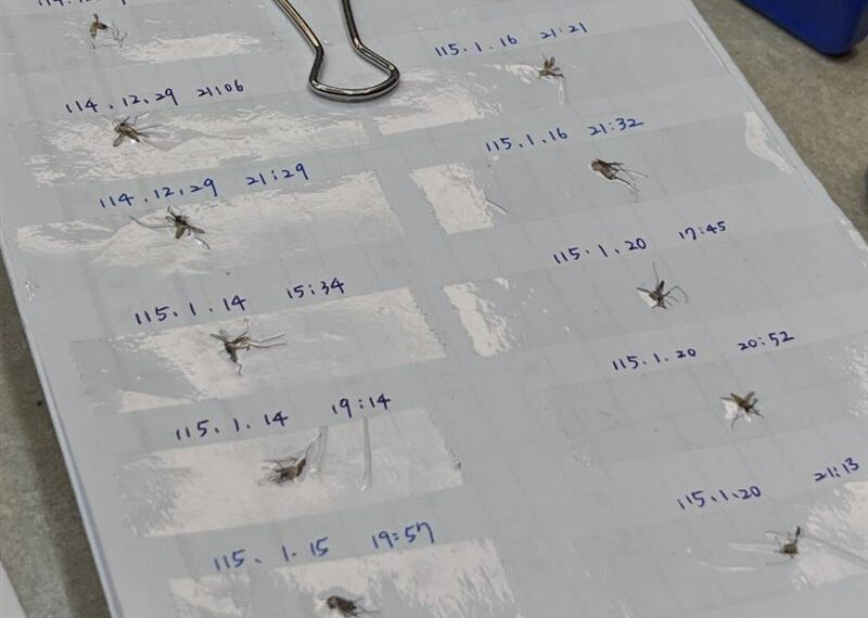 台灣新聞通訊社-冬天有蚊子煩炸　她震撼秀「殺蚊筆記本」：給點教訓！4萬網讚爆