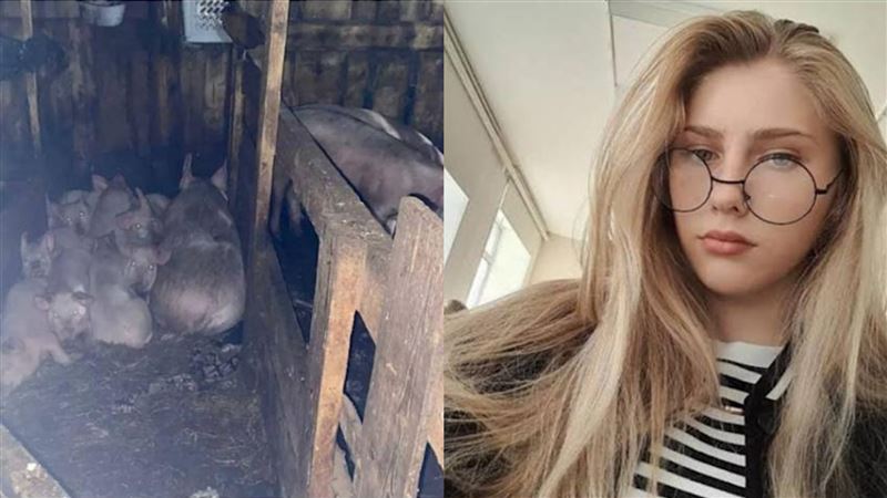 台灣新聞通訊社-她只是去餵豬！17歲少女遭性侵後棄豬欄　被群豬啃食「放血」慘死