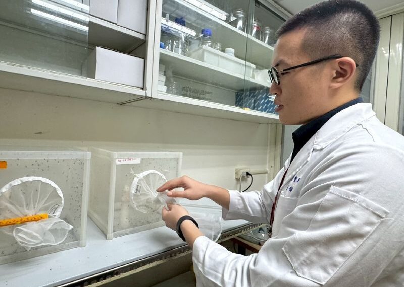 台灣新聞通訊社-養萬隻蚊、藏15萬標本　開箱疾管署病媒實驗室