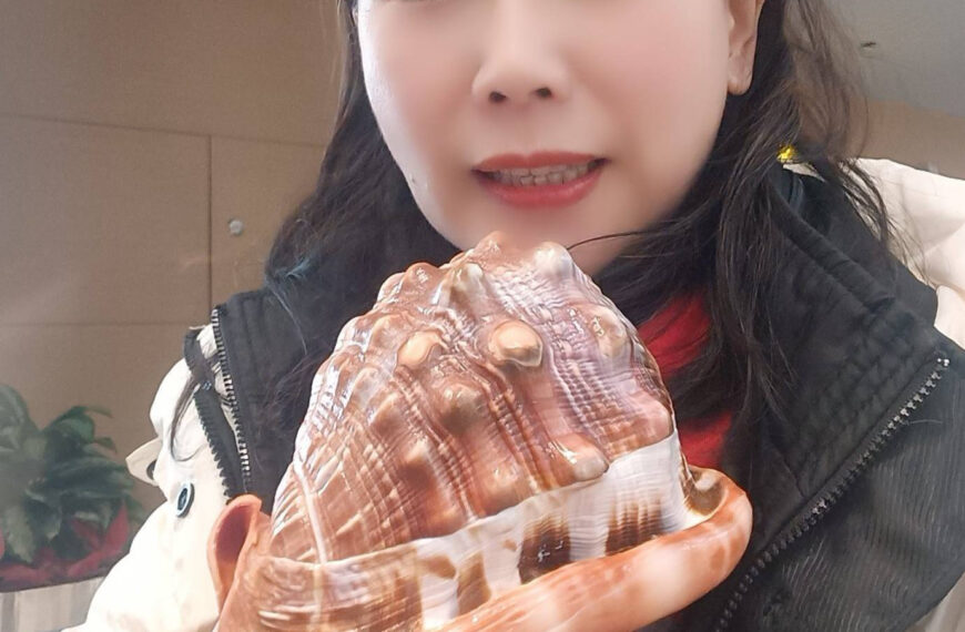 台灣新聞通訊社-200元貝殼竟是保育物種「唐冠螺」 她買紀念品遭大陸海關帶進小房間