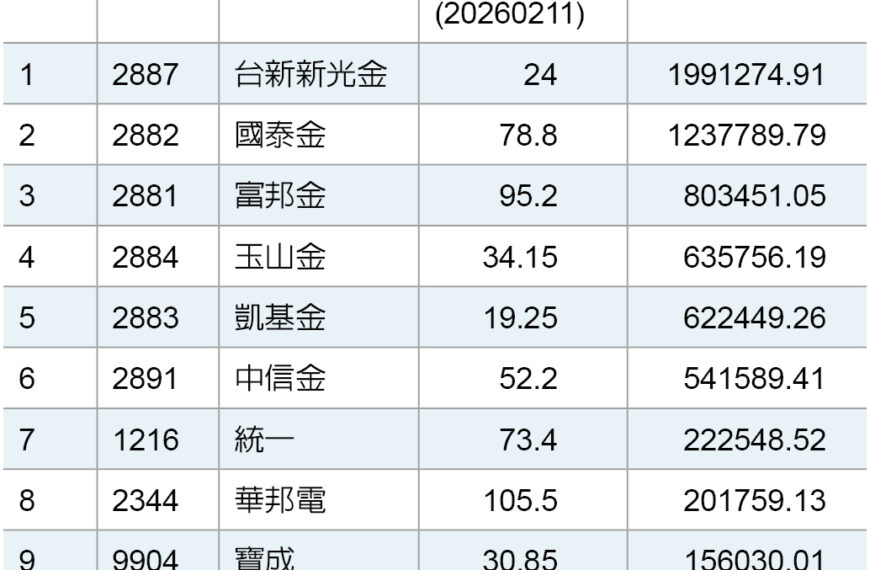 台灣新聞通訊社-投信蛇年最愛誰？大買金融股 記憶體僅這檔進榜