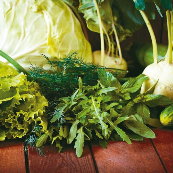 台灣新聞通訊社-立春養生首重養肝 中醫授「綠、酸、辛」吃法健康一整年