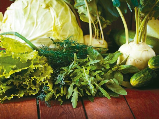 台灣新聞通訊社-立春養生首重養肝 中醫授「綠、酸、辛」吃法健康一整年