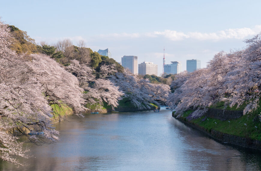 台灣新聞通訊社-品保協會公布第2季合理團費 日本團費2因素下修減少1成 靠櫻花季撐盤