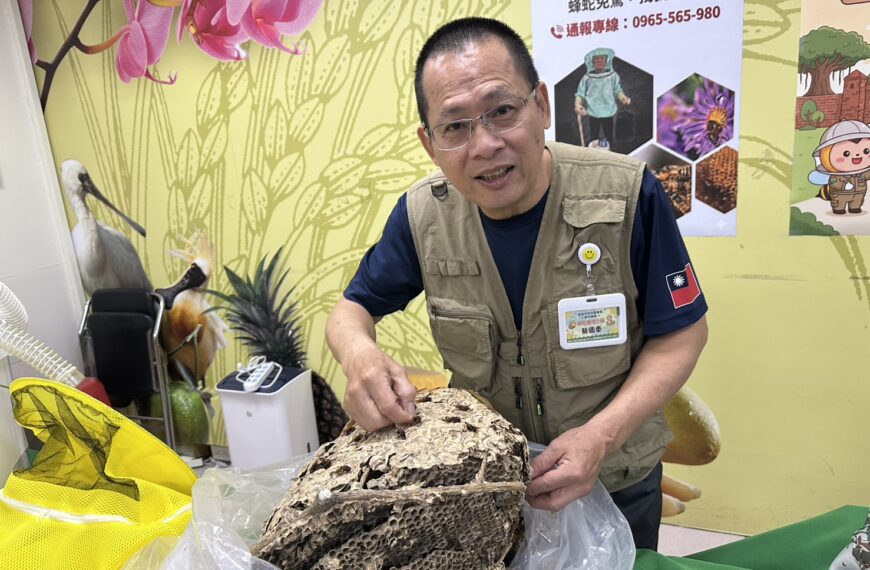 台灣新聞通訊社-南市捕蜂捉蛇虎頭蜂及臭青公為大宗 範圍逐漸都市化