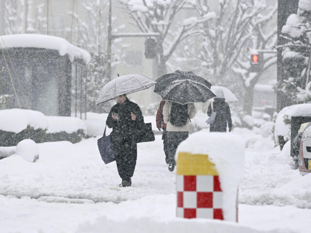 台灣新聞通訊社-交通癱瘓、房屋倒塌…日本大雪增至35死393傷 氣溫回升恐釀雪崩