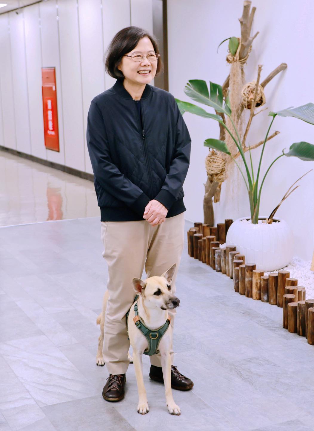 台灣新聞通訊社-網紅問「養狗的人要怎麼上進」 釣到蔡英文、賈永婕親回