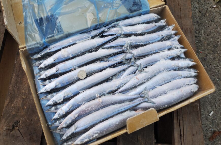 台灣新聞通訊社-農曆春節前5日魚市場交易量增3成 漁業署：供應充足