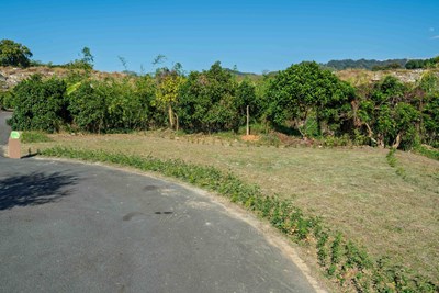 台灣新聞通訊社-台中再添樹葬新據點 潭子生命紀念館樹葬區啟用